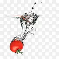 ����ֲ���ʵ-���ѷɽ�-������