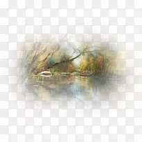 Ë®²Ê»×ÀÃæ±ÚÖ½Ê÷»-¿ÕÈôÍø Ë®²Ê»×ÀÃæ±ÚÖ½Ê÷»-¿ÕÈôÍø