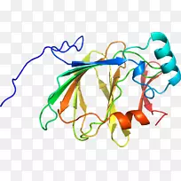 ART有机体点夹ART葡萄糖6磷酸酯-空若网 ART有机体点夹ART葡萄糖6磷酸酯-空若网