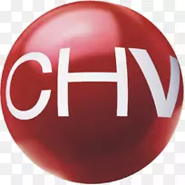 ����ά˹�̵��ӽ�Ŀ���˺�13-�ʰ͡�-������