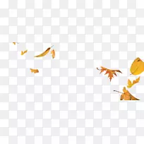 ���洫����-������