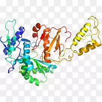 人体首饰有机体线剪贴画线-空若网 人体首饰有机体线剪贴画线-空若网