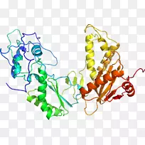 艺术食身珠宝系列剪贴画线-空若网 艺术食身珠宝系列剪贴画线-空若网