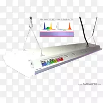 电子多媒体-生长光-空若网 电子多媒体-生长光-空若网