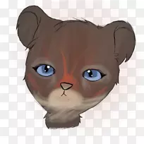 胡须,小猫,鼻子,爪子,眼睛-小猫-空若网 胡须,小猫,鼻子,爪子,眼睛-小猫-空若网