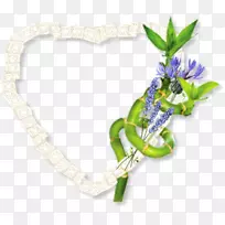 花卉设计机构珠宝开花植物.设计-空若网 花卉设计机构珠宝开花植物.设计-空若网