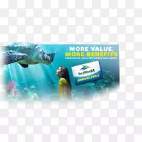 广告水塑料品牌有机体-水-空若网 广告水塑料品牌有机体-水-空若网