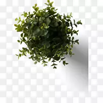 �˵�ģ�Ͳ���ͼ�����-����������ͼ-������