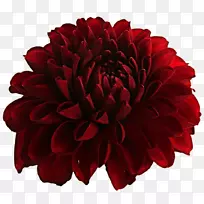 �������л�-������