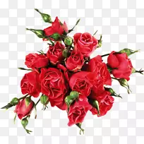 台式机壁纸笔记本电脑国际妇女节-笔记本电脑-空若网 台式机壁纸笔记本电脑国际妇女节-笔记本电脑-空若网