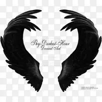 ����ʹ���������ë-�ڰ����-������