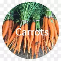 婴儿胡萝卜天然食品维也纳香肠本地食品胡萝卜植物-空若网 婴儿胡萝卜天然食品维也纳香肠本地食品胡萝卜植物-空若网