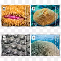 �п���������ɺ��Ŧ���Ĵ�����-�Ĵ�����-������