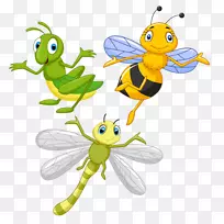 昆虫和花蜂画-昆虫-空若网 昆虫和花蜂画-昆虫-空若网