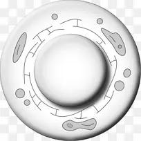 轮辋材料.设计-空若网 轮辋材料.设计-空若网