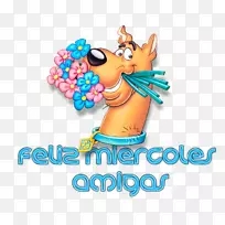 星期三快乐-空若网 星期三快乐-空若网