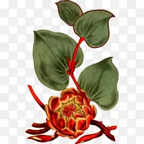 Windows图元文件剪贴画-空若网 Windows图元文件剪贴画-空若网