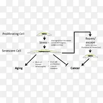 纸牌设计-空若网 纸牌设计-空若网
