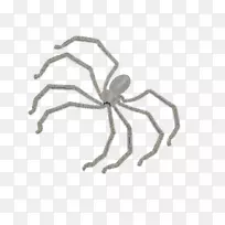 昆虫系蛛形纲害虫-空若网 昆虫系蛛形纲害虫-空若网