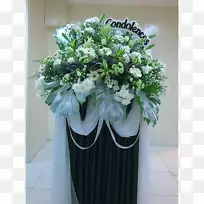 ��������л����軨��-������