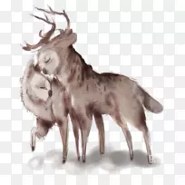 ѱ¹Ȯ��¹��Ȯ��Ȯ�ơ�����-ѱ¹-������