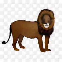 大猫陆生动物毛皮野生动物-猫-空若网 大猫陆生动物毛皮野生动物-猫-空若网