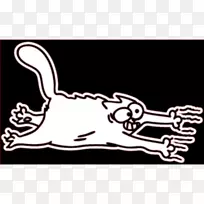 澳大利亚牧羊犬病猫-空若网 澳大利亚牧羊犬病猫-空若网