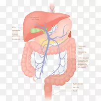 ���ȹ೦�ⶾ-����-����-������