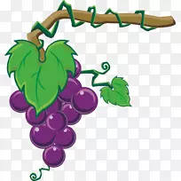 葡萄酒奥格里斯水果剪贴画葡萄上的葡萄-空若网 葡萄酒奥格里斯水果剪贴画葡萄上的葡萄-空若网