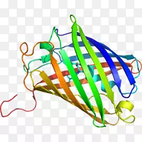 �ߵ������������-������