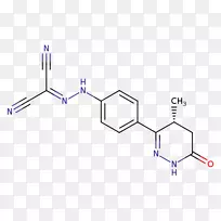 直线点角-骨骼肌-空若网 直线点角-骨骼肌-空若网