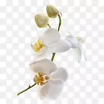 �ɶ����л���������-������