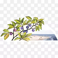 花卉设计切花水果设计-空若网 花卉设计切花水果设计-空若网