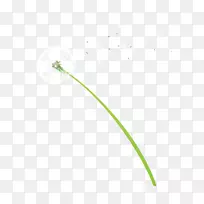 线角点图案-蒲公英-空若网 线角点图案-蒲公英-空若网