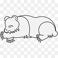 胡须狗熊鼻子猫狗-空若网 胡须狗熊鼻子猫狗-空若网