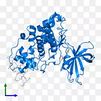 �ߵ������������-������