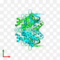 树线字体树-空若网 树线字体树-空若网
