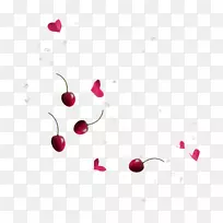 ӣ�����ؼ�����-Сӣ��-������