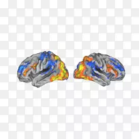 ���������ڼ��ݴ�ѧ��������У���񾭿�ѧ�о��������񾭼����о����ĺ�ʵ���ҡ�-������