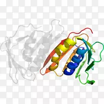 �߲˼�����-�߲�-������