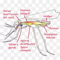 剪贴画设计-空若网 剪贴画设计-空若网