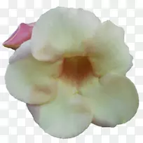 ����-������ѧ-������