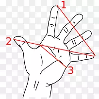 黄金比率数学测量手小指数学-空若网 黄金比率数学测量手小指数学-空若网