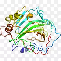 ֱ�ߵ�Ҷ��������-������