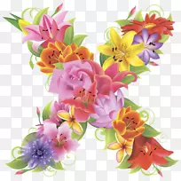 ��������л����컨����-������