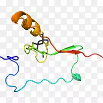 ���������������-Russet Burbank-������