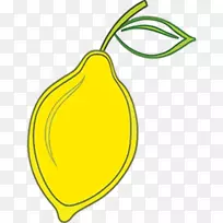 梨,阿拉米达,后院种植者,节奏,文化作品,果树-梨树-空若网 梨,阿拉米达,后院种植者,节奏,文化作品,果树-梨树-空若网