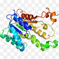 人体首饰有机体线剪贴画线-空若网 人体首饰有机体线剪贴画线-空若网