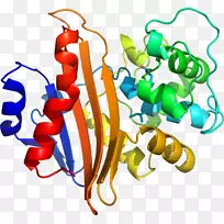 �߲��л���ϵ�м�����-�߲�-������