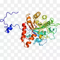 人体行为有机体线点剪贴画线-空若网 人体行为有机体线点剪贴画线-空若网